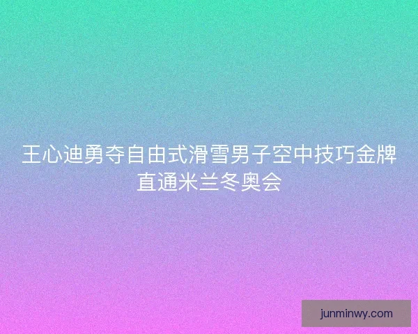 王心迪勇夺自由式滑雪男子空中技巧金牌直通米兰冬奥会